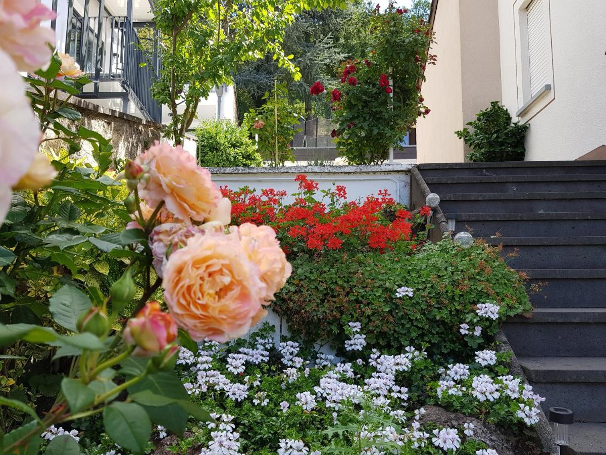 Gartenstudio Anila Кохем Екстер'єр фото